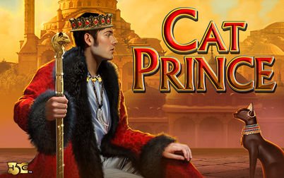 Play Cat Prince - Slots - High 5 Games