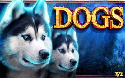 Play Dogs - Slots - High 5 Games