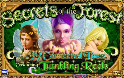 Play Secrets of the Forest - Slots - High 5 Games