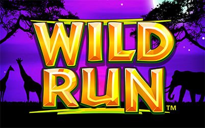 Play Wild Run - Slots - NextGen