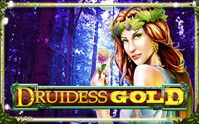Play Druidess Gold - Slots - NextGen
