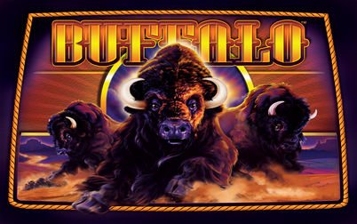 Buffalo Gold Free Slot Game