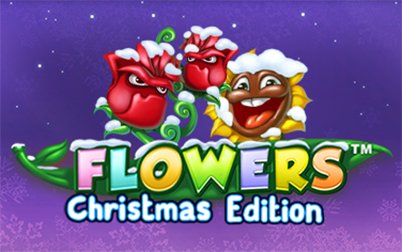 Play Flowers Christmas Edition Touch™ - Slots - NetEnt games