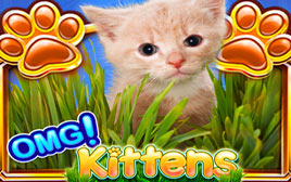 Play OMG! Kittens - Slots - WMS games