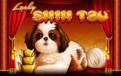 Play Lucky Shih Tzu - Slots - Spin games