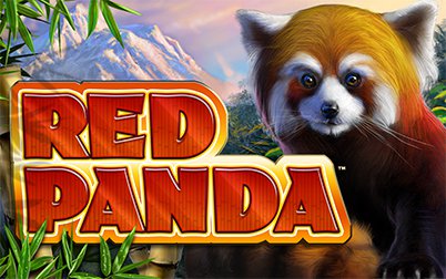 Panda Casino Game