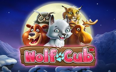 Play Wolf Cub Touch - Slots - NetEnt games